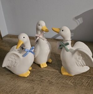 Ceramic Goose Set